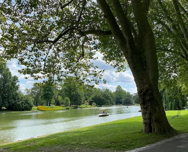 Comment organiser des vacances en location en Nouvelle-Zélande avec des randonnées dans les parcs nationaux et des visites de vignobles?